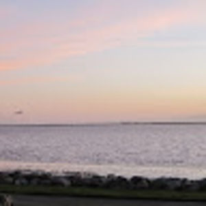 Meet your Posher, Terrific